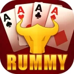 Rummy Bharat App Icon